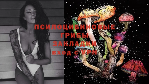 дмт Алексеевка