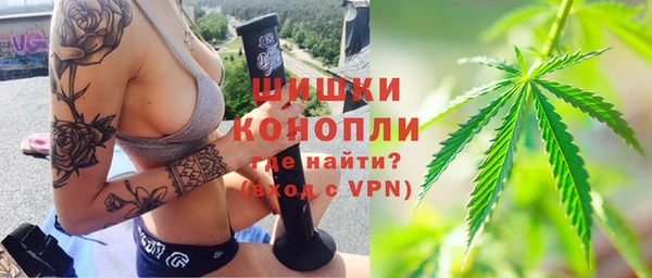 apvp Алзамай