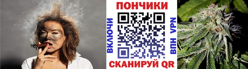 Конопля гибрид Кыштым